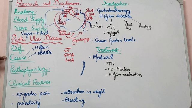 GIT SURGERY lecture 10 STOMACH blood supply and PEPTIC ULCER DISEASE introduction смотреть онлайн