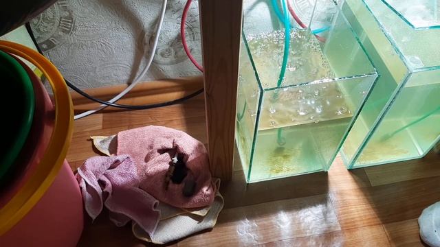 Вода и комфорт