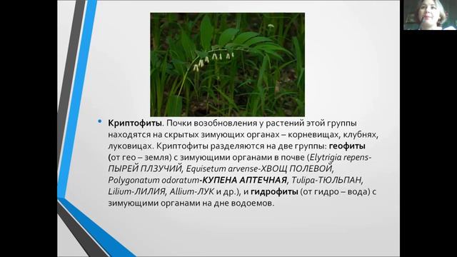 занятие №2 по биологии смотреть онлайн