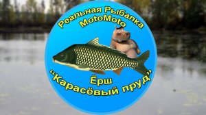 Как поймать Ерша на Карасёвом пруду [АРХИВ] | Реальная рыбалка