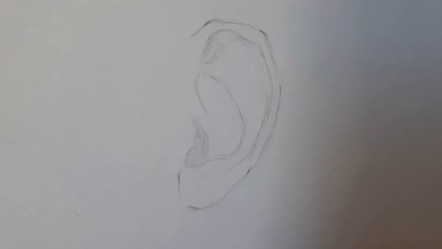 Как рисовать уши (ухо) карандашом (поэтапно)