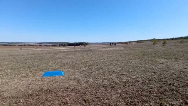 Слава что ты сделал? смотреть онлайн