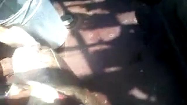 рыбалка на сома в Балхаше сысыкуль сом 98 кг смотреть онлайн