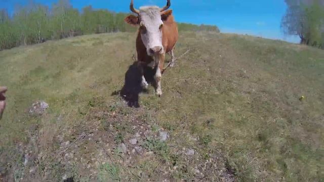 Парень выпрыгнул из самолёта ради любимой. смотреть онлайн