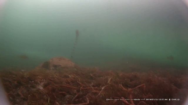 Подводная видеокамера FULL HD смотреть онлайн