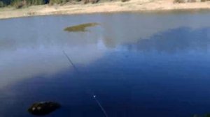 Рыбалка в Удмуртии. Обзор. Бурановский пруд