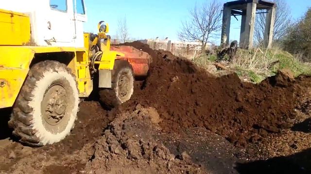 Как заказать конский перегной (коровий навоз) на участок? смотреть онлайн