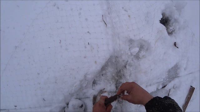 Атака хариуса. Подводная съёмка. Рыбалка на микро речке смотреть онлайн