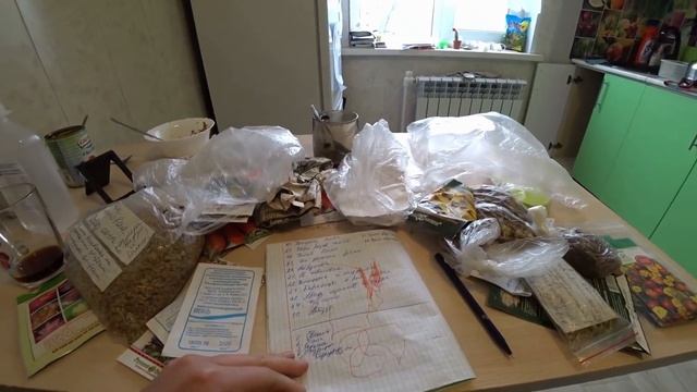 Узнали за аренду земли / Ревизия по семенам и что будем сажать / Чем мы занимаемся вечером смотреть онлайн