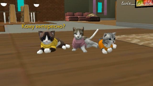 😺 Типы игроков в Cat Sim 0.4 || Cat Sim