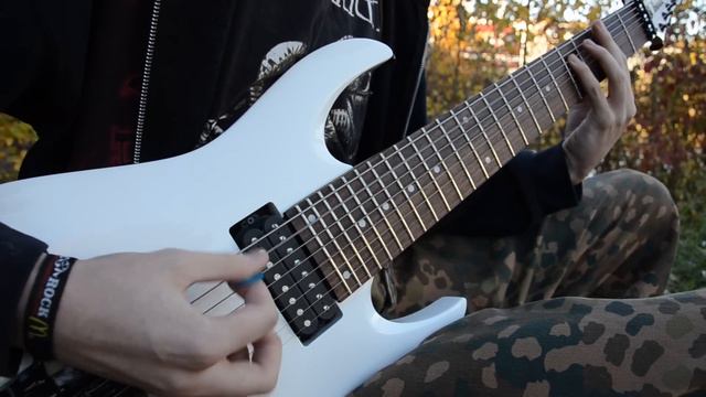Liquid Stones Dancing - Hybris (guitar playthrough) смотреть онлайн