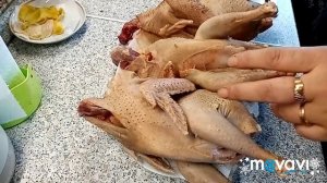 Забой цесарки.