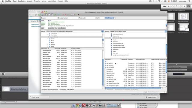 Wordpress mit ftp installieren Tutorial смотреть онлайн