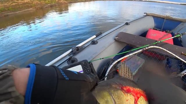 ПОПАЛ на МОНСТРОВ! ВОТ ЭТО РЫБАЛКА! ОДНА БОЛЬШЕ ДРУГОЙ! Рыбалка 2022 смотреть онлайн