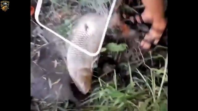 ★День на рыбалке-это маленькая жизнь/Приколы на рыбалке 2020/Неудачи на рыбалке/Рыбалка с юмором/★ смотреть онлайн