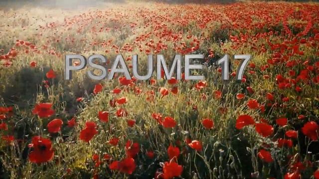 PSAUME 17 EN FRANCAIS / VERSION LOUIS SEGOND смотреть онлайн
