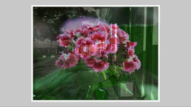 Fujifilm HS10 HS11 (цвет и ч/б/ color & b.w.) смотреть онлайн