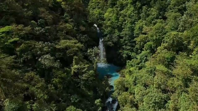 Музыка для души ? Гармония с жизнью - музыка — хорошее лекарство для сердца и души смотреть онлайн