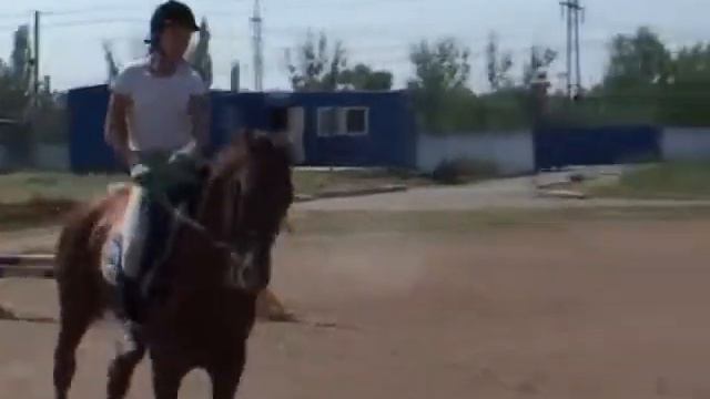 Конный спорт КФП "Кентавр" 7 июня 2014 г. смотреть онлайн