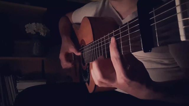 Dusk Till Dawn | Fingerstyle cover смотреть онлайн