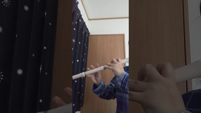 トラヴェルソ演奏　ねこふんじゃった смотреть онлайн
