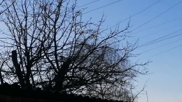 Первое видео🌱🌾 смотреть онлайн