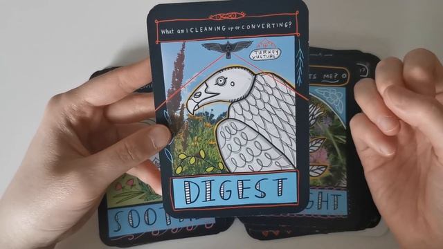 Brilliantly Designed ?? | The Prairie Majesty Oracle (Prototype) Grounds Your Heart & Body смотреть онлайн