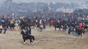 Бузкаши Конибодом 6 января 2024 г.