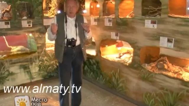 Восточный удавчик смотреть онлайн