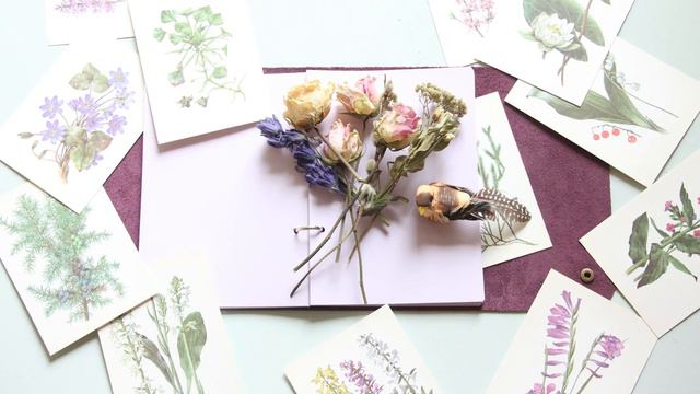 Кожаный блокнот смотреть онлайн