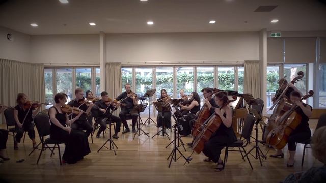 Dvorak Serenade for Strings смотреть онлайн