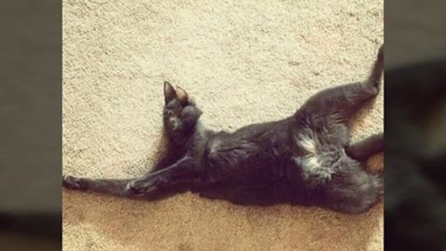 СМЕШНЫЕ ПАНОРАМНЫЕ ФОТО смотреть онлайн