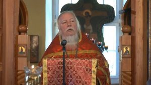 Проповедь о  Святом Духе и о жизни вечной. Димитрий Смирнов