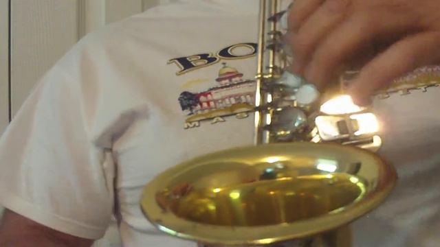 Stars and Stripes Forever W/ Yamaha YAS 23 Alto Saxophone , Happy 4th!Perfect Intonation смотреть онлайн