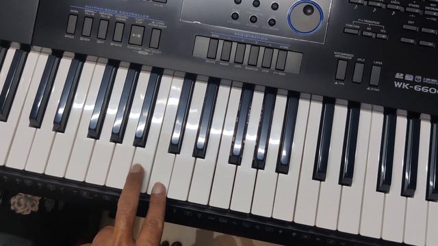 Casio CTK6200 and WK6600 Keyboards Casio Select Workshop смотреть онлайн