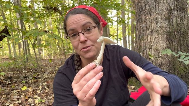 How To Take Good Mushroom Pictures + Responsible Mushroom Harvesting Tips