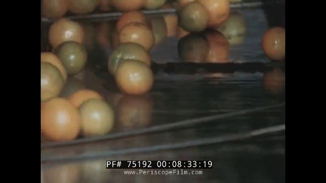 " FUTURE UNLIMITED " 1960s NESBITTS FRUIT COMPANY SOUTHERN CALIFORNIA TRAVELOGUE 75192 смотреть онлайн