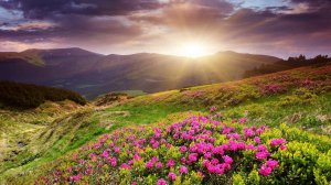 Шейх Фарид ад-Дин Аттар. Тазкират ал-аулийа #Хазрат Абдалла Маназиль