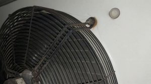 Обмерз испаритель. Что делать когда температура не опускается? The evaporator is frozen. What to do