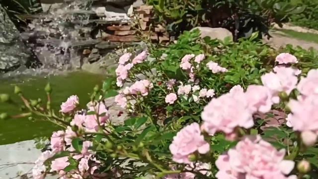 Красивые дачи. Дизайн ландшафта. Водопад. смотреть онлайн