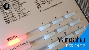 Yamaha PSR E403 / Yamaha PSR-E403 Portable Keyboard /