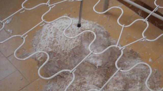 LA STATION INFERNALE.CE QUI NOUS ARRIVE ET FLIPPANT #urbexfrance #abandoned #paranormal #halloween смотреть онлайн