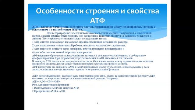 Газимагомедова М.М. Биоэнергетика лекция смотреть онлайн