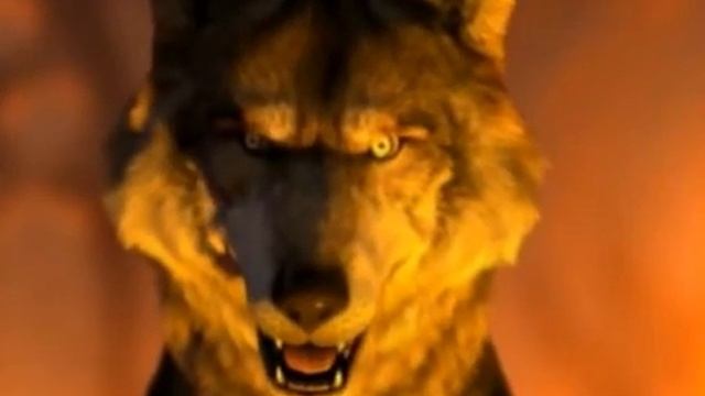 Очень злой волк ;D смотреть онлайн