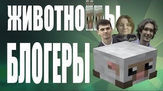 Блогеры животнолюбы (перезалив Зио)