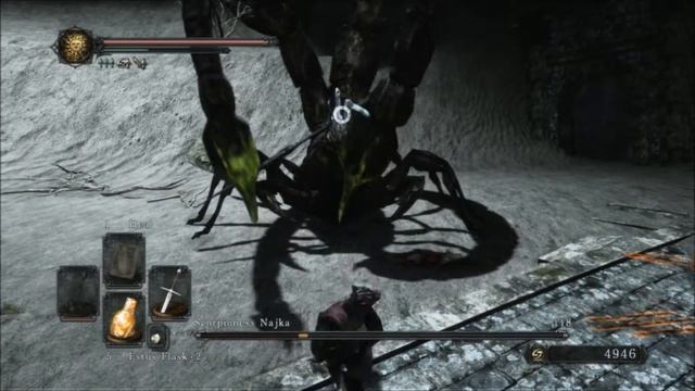 Dark Souls 2 No Shield - Playing with Scorpioness Najka смотреть онлайн