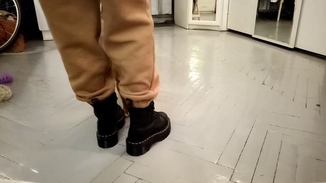 Минибуль Дан (3 месяца). Начало обучения 5. смотреть онлайн