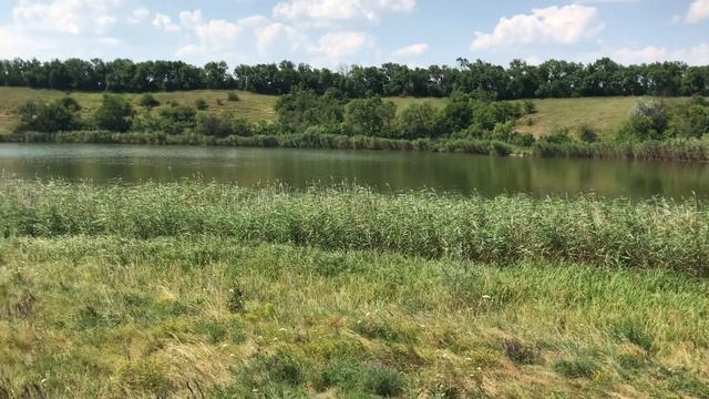 Какая рыбалка , какой отдых ? Уха , шашлык ? Один день. смотреть онлайн