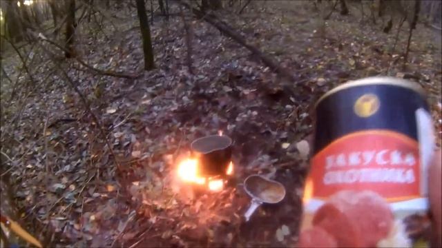 Одиночный поход в лес в ноябре ( сырно -- гороховый суп, и др )Мозырь,Беларусь.