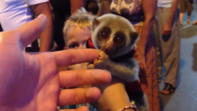 Лямур от Лемура смотреть онлайн